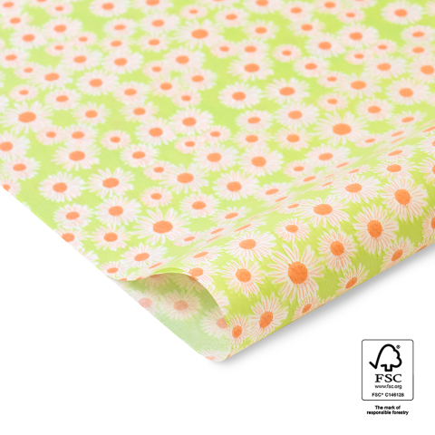 P45.233.070 Vloeipapier - Daisy - Salmon/Lime