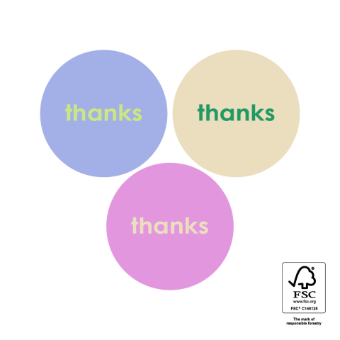 P74.460.250 Stickers Multi - Thanks Mini (EN)