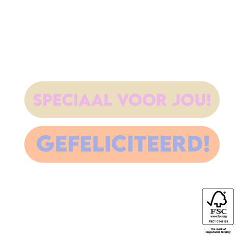 P74.464.250 Stickers - Gefeliciteerd/Speciaal Voor Jou (NL)