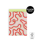 P43.342.017 Cadeauzakjes - Rainbow Lines - Lime - 17 x 25 cm