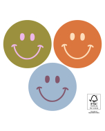 P74.430.250 Stickers Multi - Smiley
