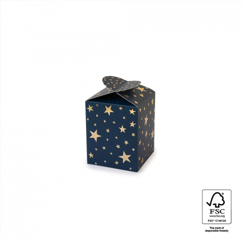 P76.205.087 Gift Box - Small - Stars - Blue